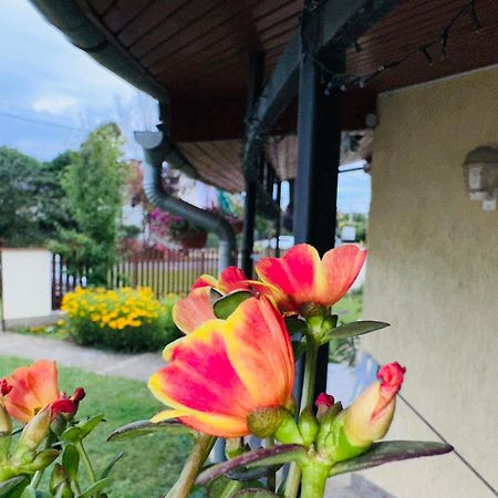 ギュラCozy Garden Apartmanアパートメント エクステリア 写真