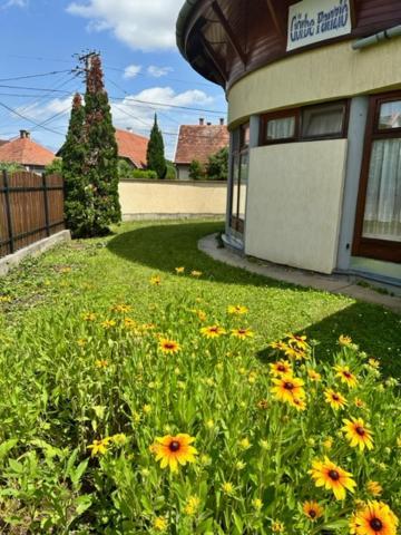ギュラCozy Garden Apartmanアパートメント エクステリア 写真