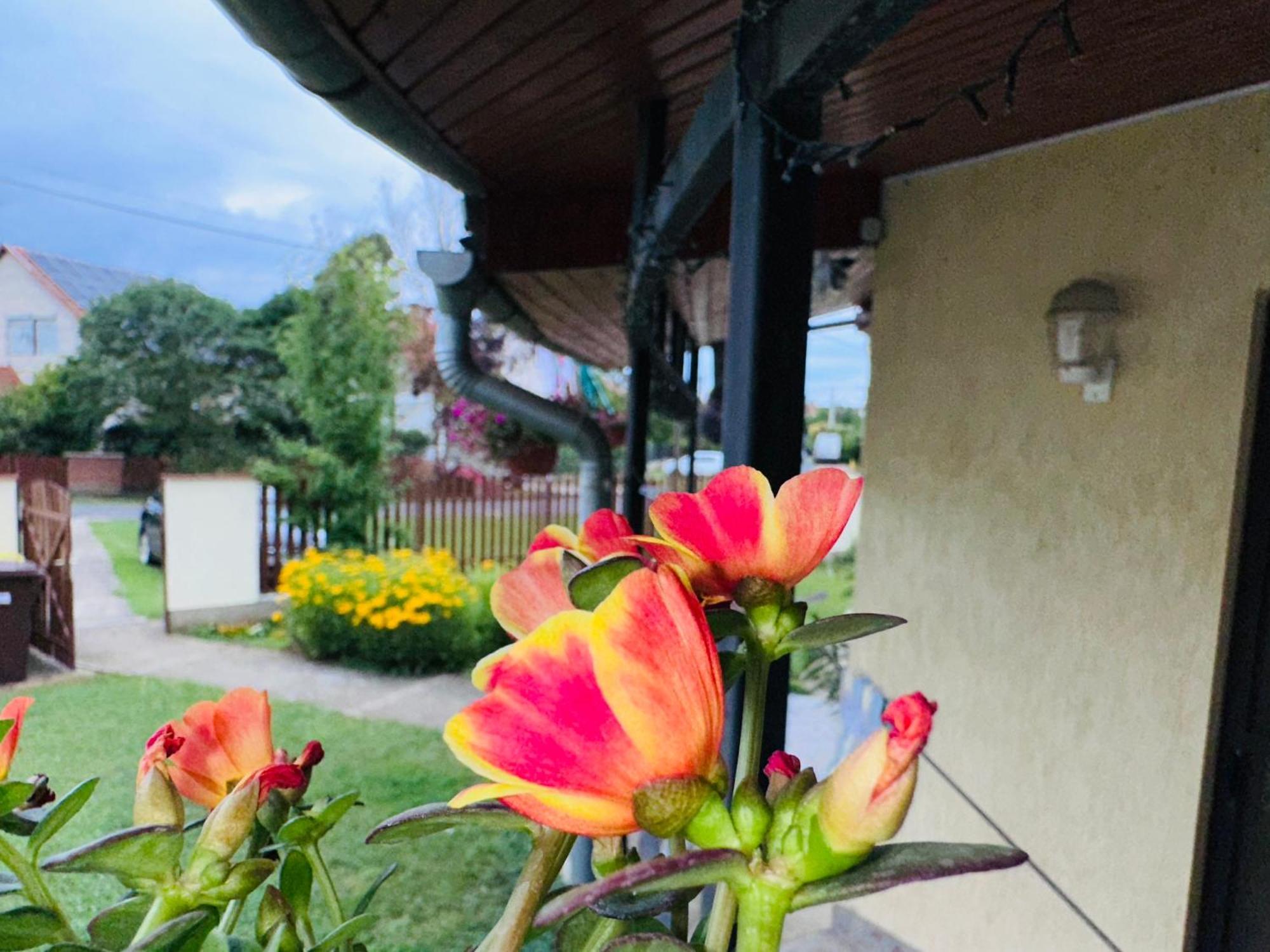 ギュラCozy Garden Apartmanアパートメント エクステリア 写真